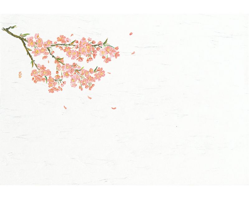  季節の敷紙（大） さくら 