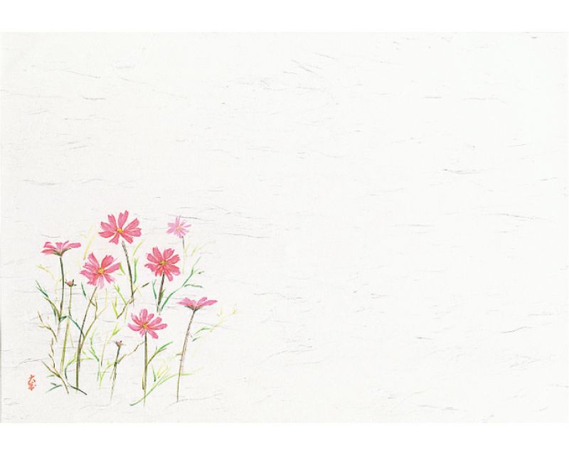  季節の敷紙（大） コスモス